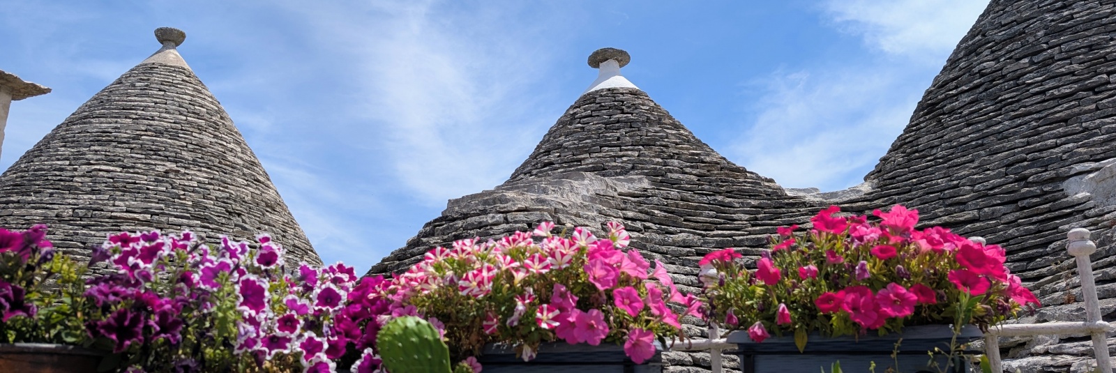 How to Get from Monopoli to Alberobello?