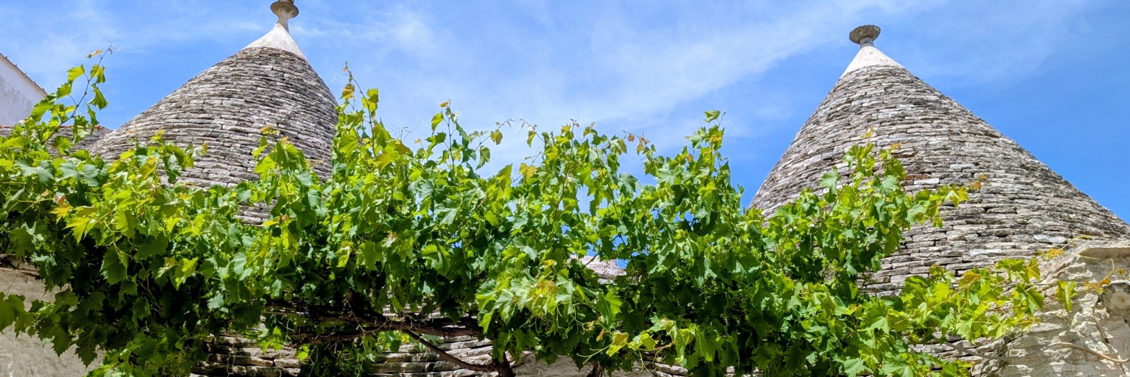 How to Get from Bari to Alberobello?