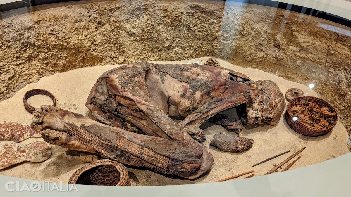 The mummy discovered at Gebelein is about 5,600 years old, dating from the Predynastic Period.
