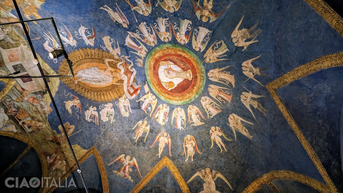 The vault of the ducal chapel