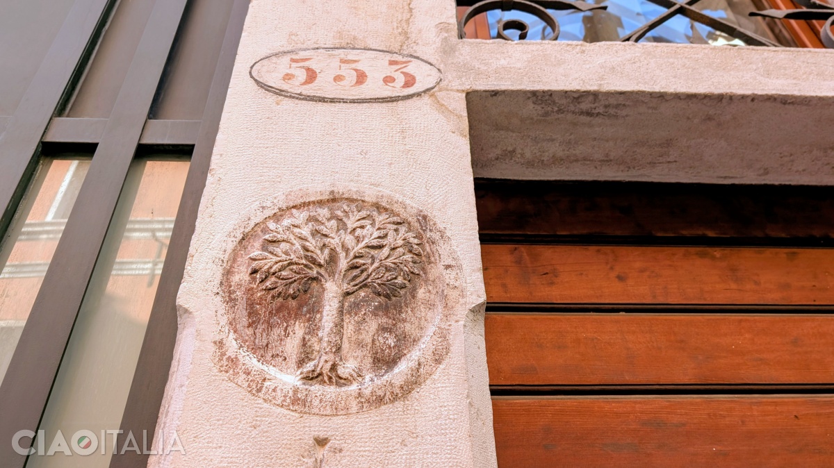 On the column of the house in Campo Rialto Novo, at number 553, a mulberry tree is carved, symbolizing the silk makers' guild.