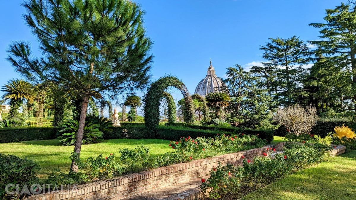 The Rose Garden