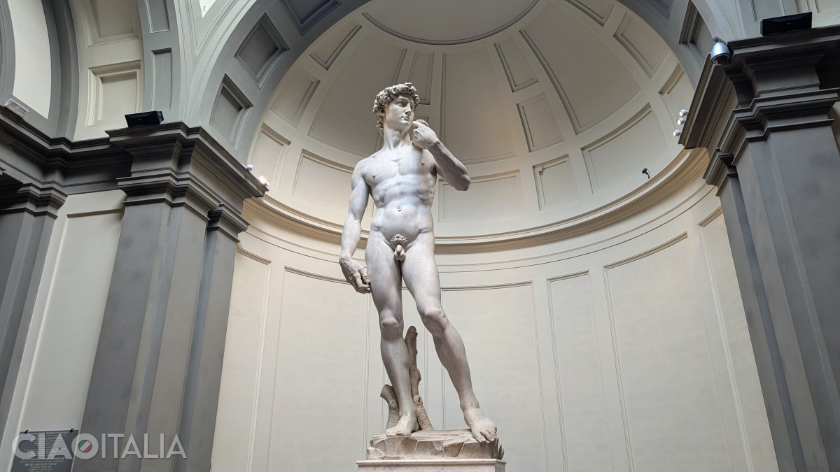 The statue of David was originally meant to be placed on one of the buttresses of the Florence Cathedral.