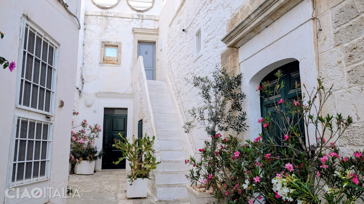 The plants add splashes of color to the cityscape.