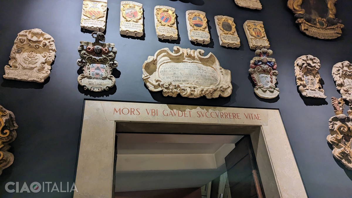 At the entrance to the Anatomical Theatre is the inscription: "Where Death rejoices to help life".