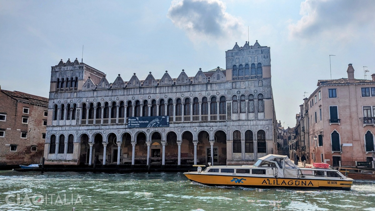 The Museum of Natural History in Venice