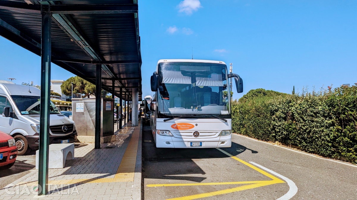 Buses depart from the front of the terminal (the bus stop is to the right as you exit the airport).