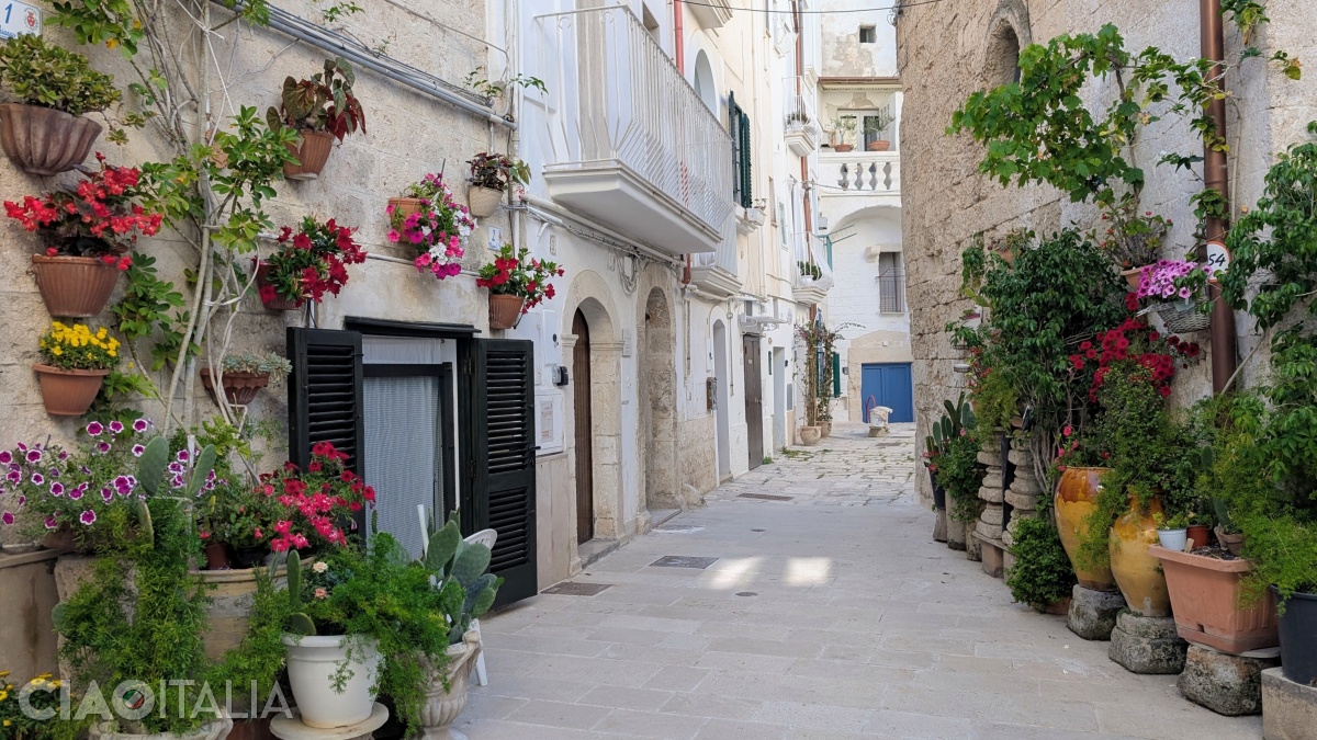 You'll find charming corners throughout Monopoli's old town.