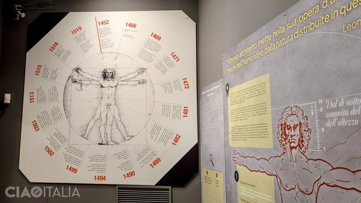 The "Vitruvian Man" illustrates the ideal proportions of the human body.
