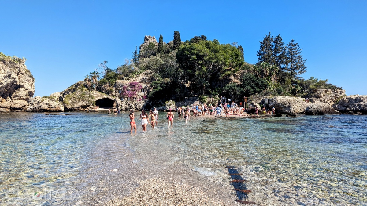 The buildings on the island are barely visible from within the vegetation.