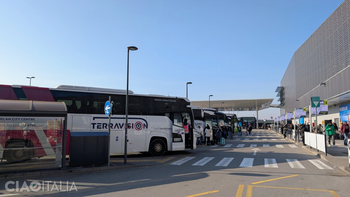 The shuttle bus stop is located in front of the terminal (on the right as you exit).