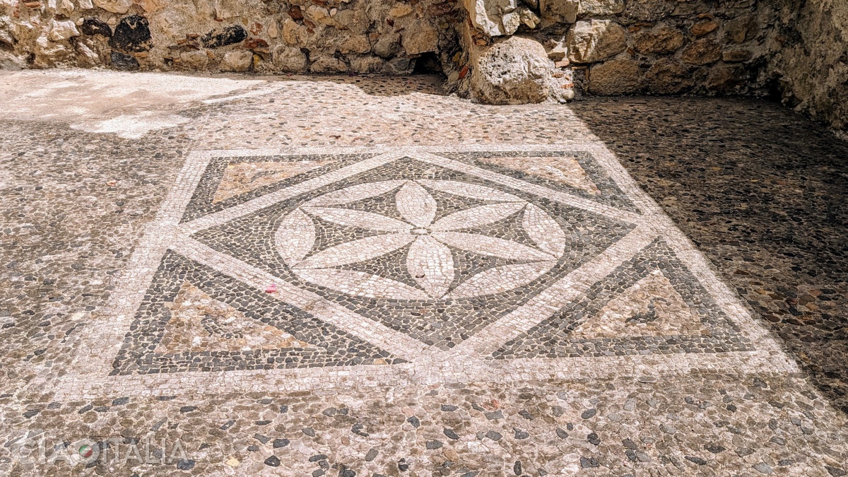 The Hellenistic mosaic