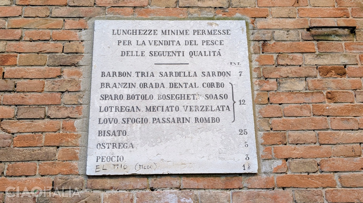 A plaque on one of the walls indicates the minimum sizes for different types of fish.