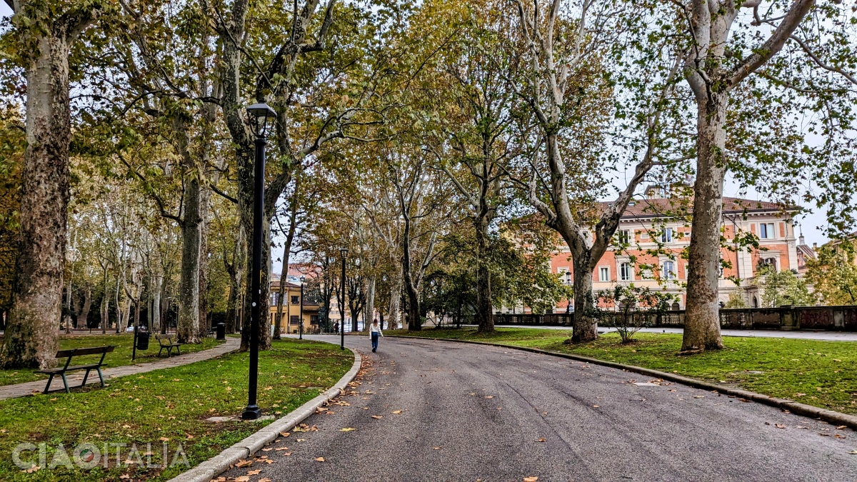 The plane trees in the park were planted at the end of the 19th century.