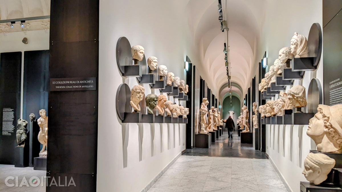 The Royal Collections of Antiquities