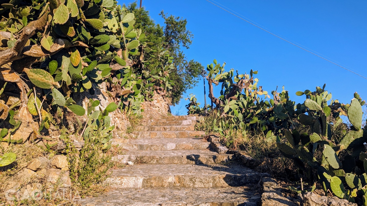 The steps at the end of the trail