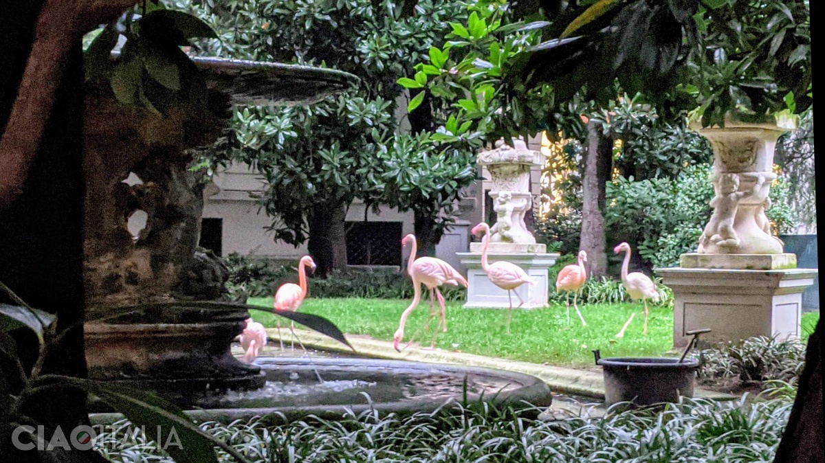 The flamingo bird colony in the garden of Villa Invernizzi.