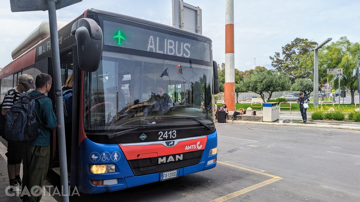 Alibus buses run from the airport to the city center of Catania.