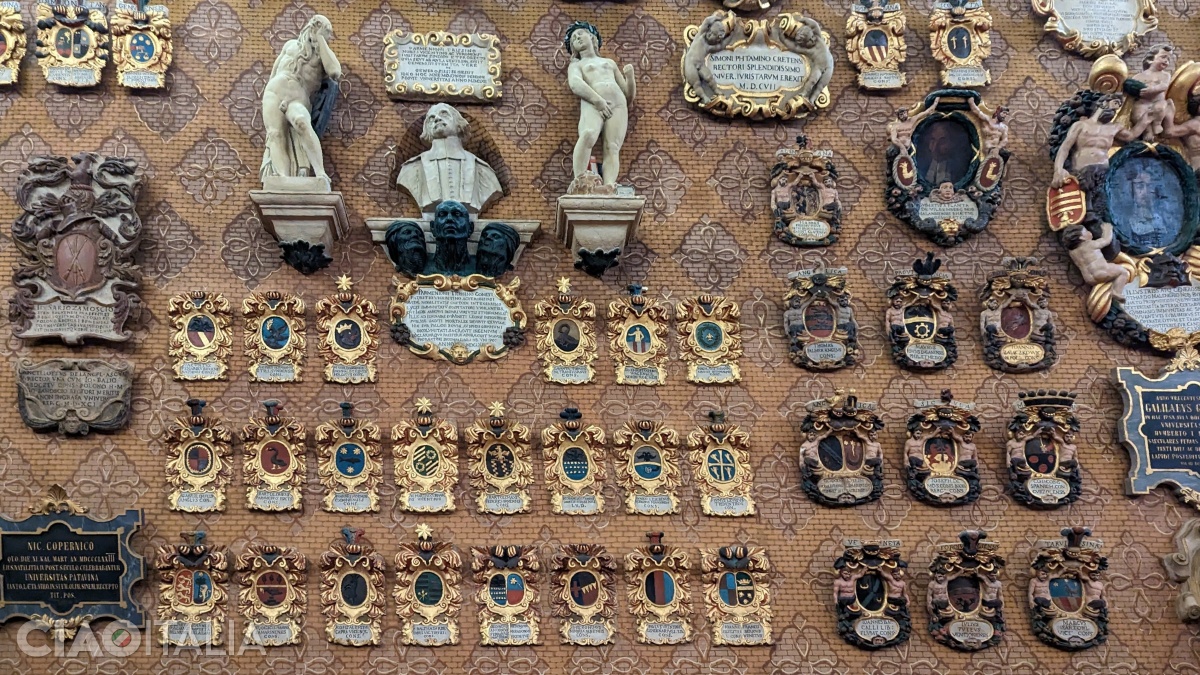 The walls are decorated with original coats of arms.