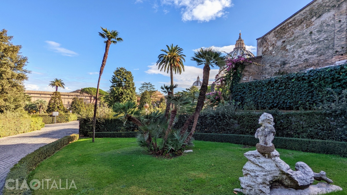 In the Vatican Gardens, you will encounter fountains, statues, and exotic and Mediterranean plants. 