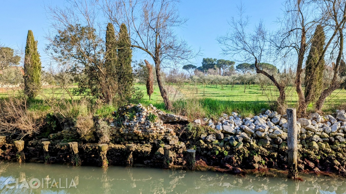 The landscape is dominated by the green of orchards and gardens.
