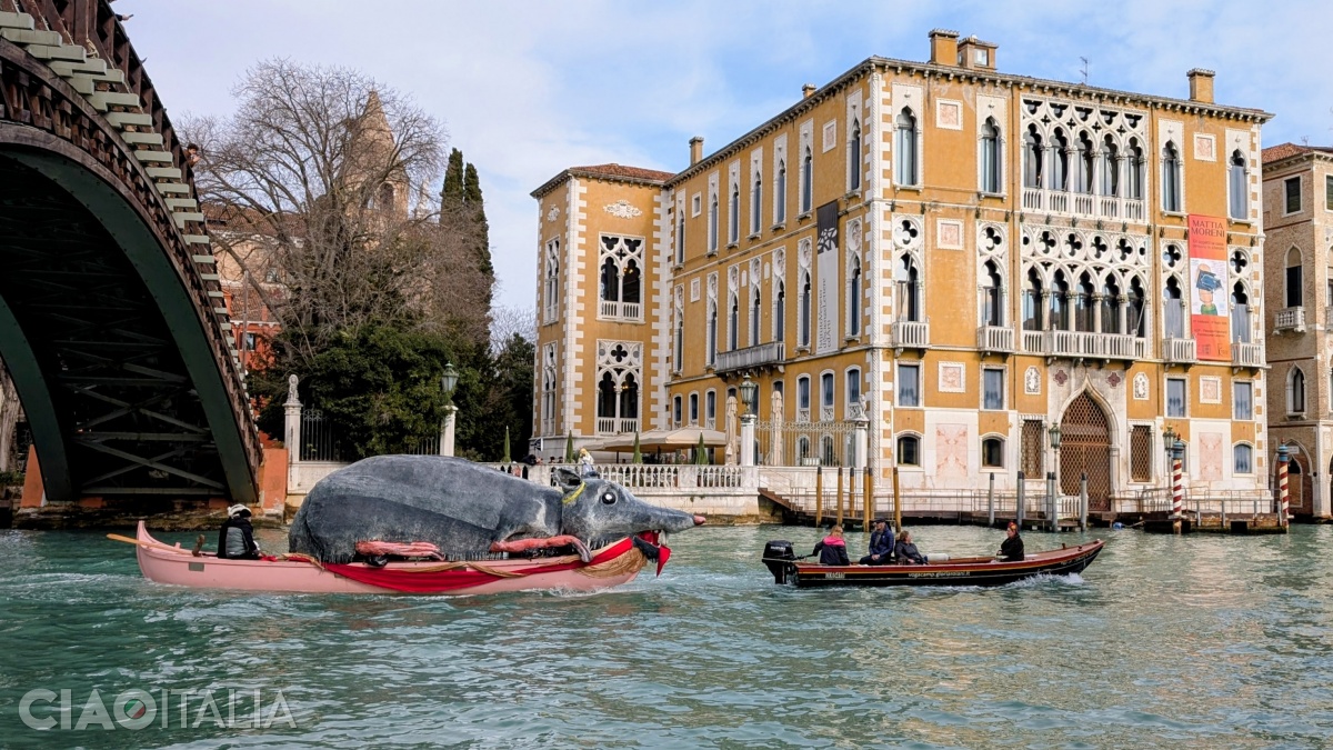 The Pantegana (rat) is never absent from the water parade.