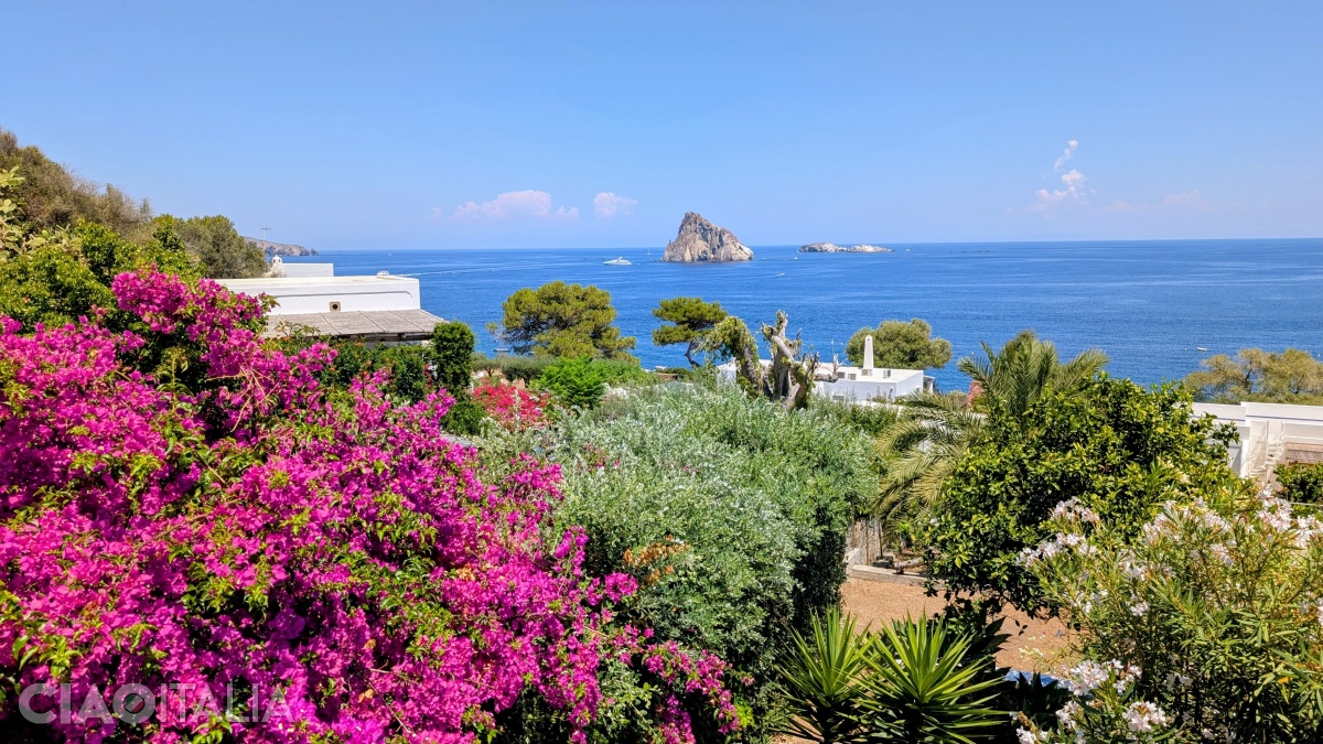 Panarea Island is full of bougainvillea flowers.