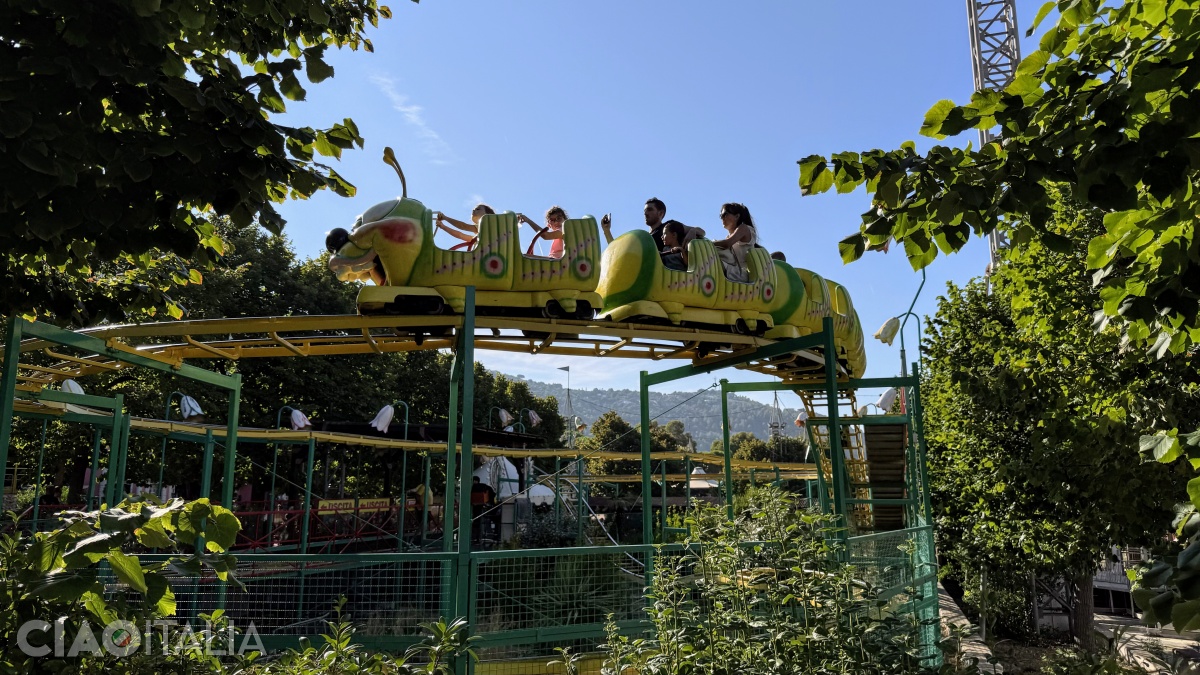 Brucomela, a mini roller coaster