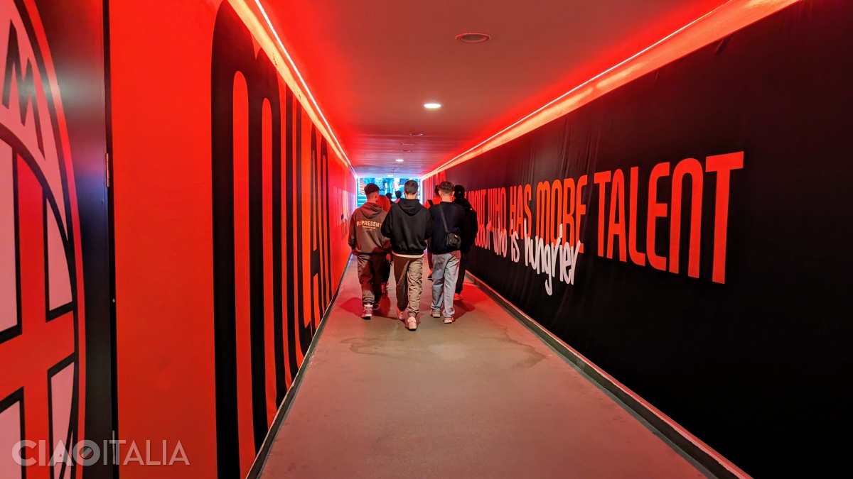 Walking through the players' tunnel, you will reach the playing field.