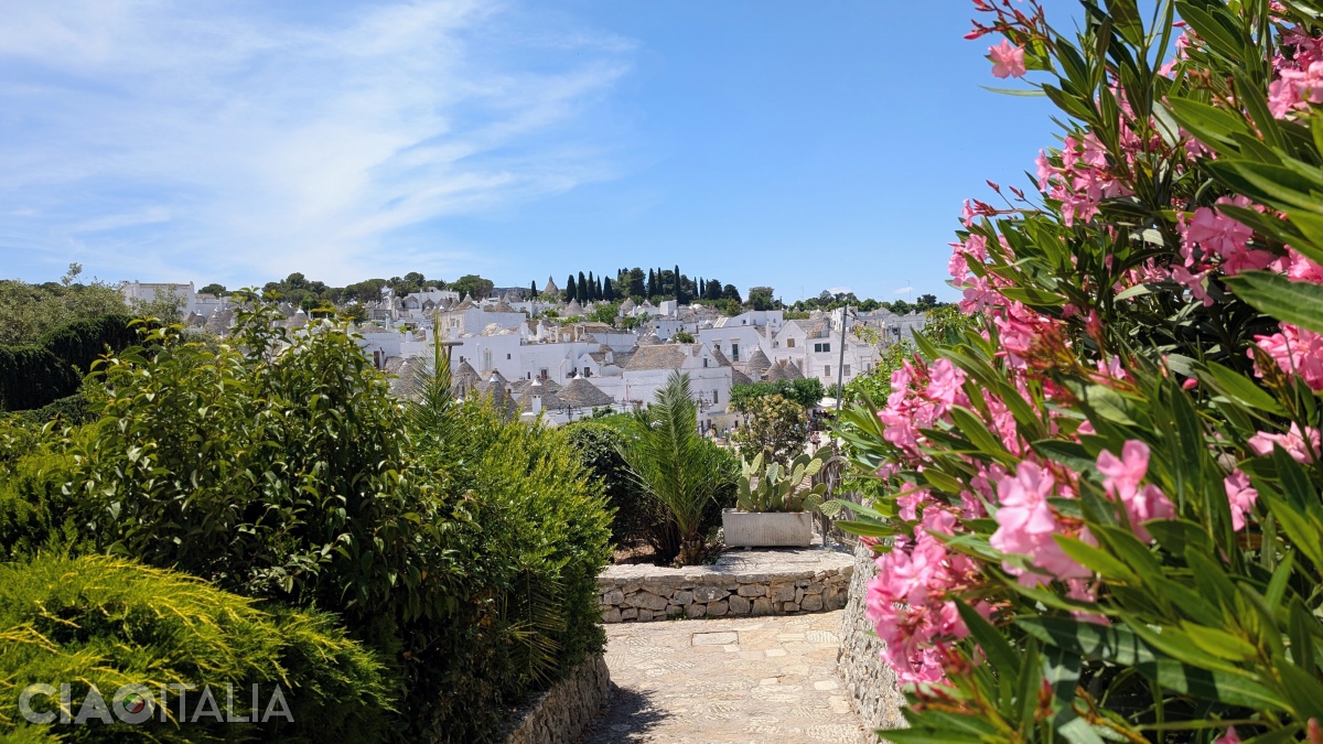 View of the trulli in Rione Monte
