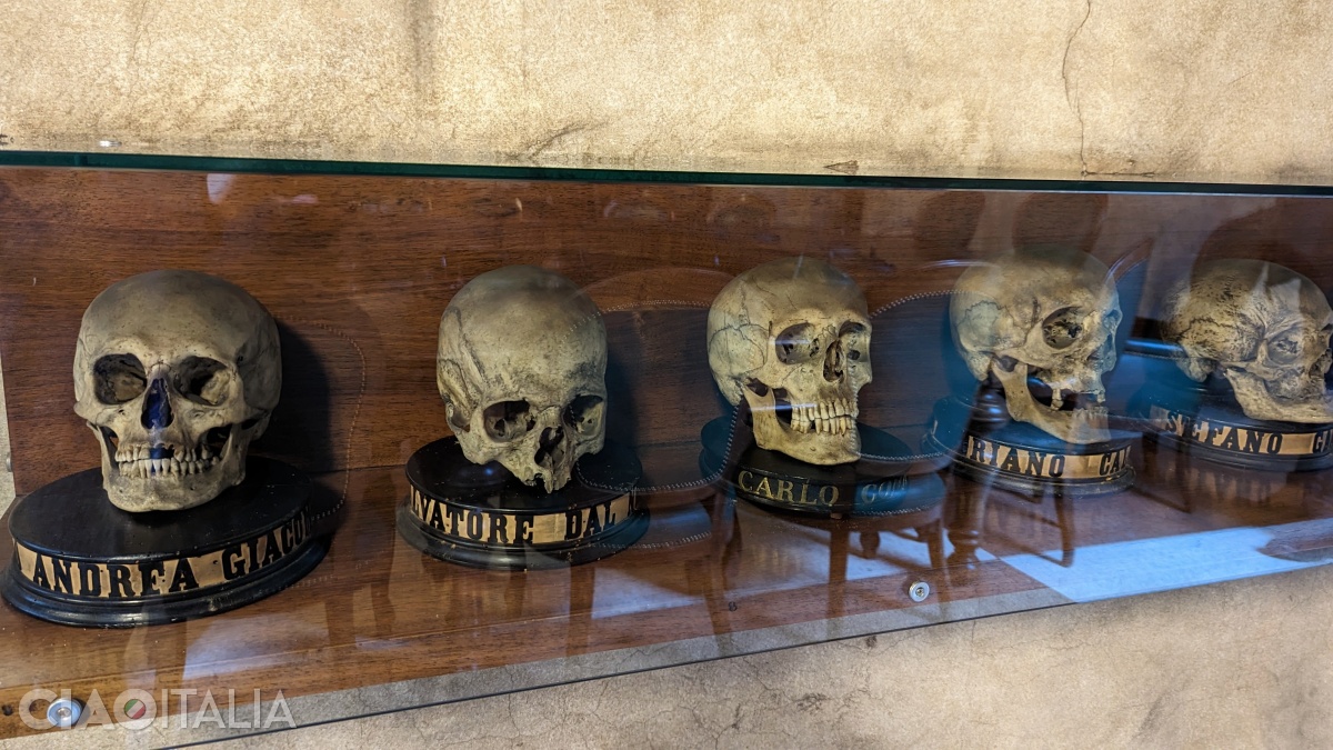 According to legend, the skulls in the display case were donated by eight professors to serve scientific research.