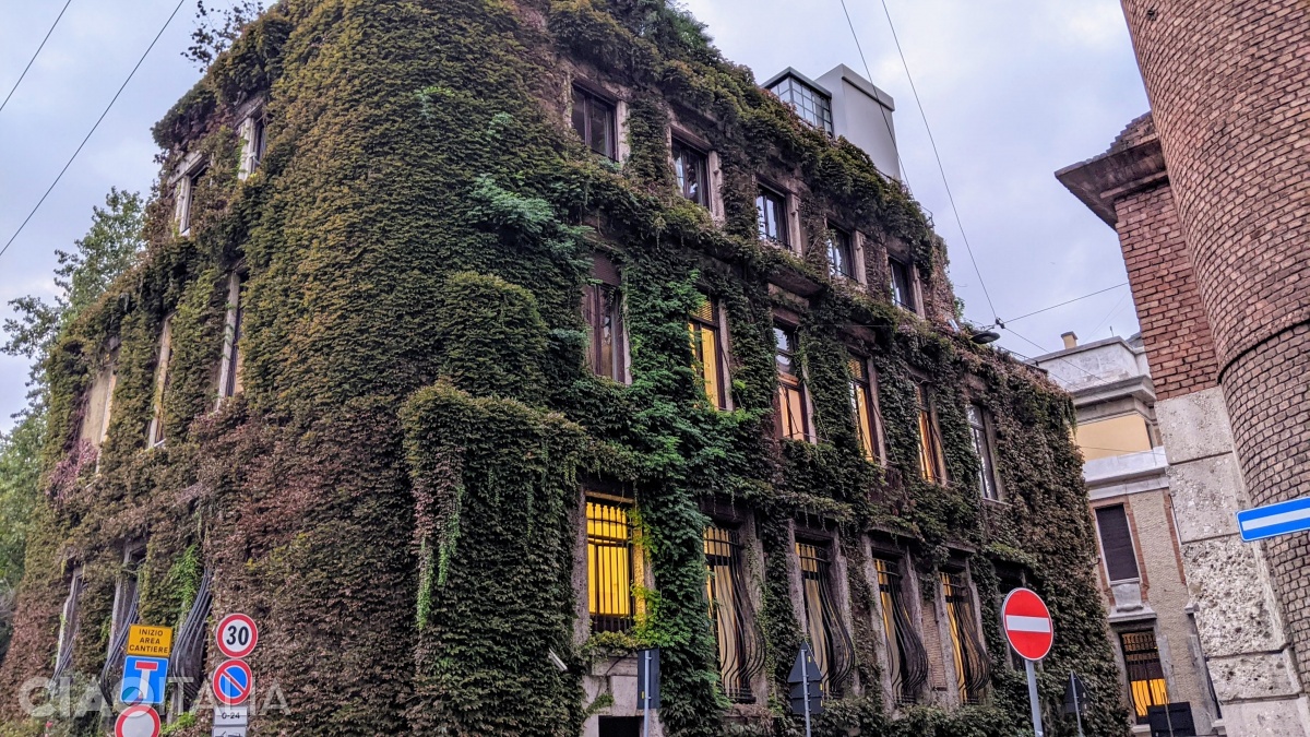 Villa Mozart is completely covered in ivy.