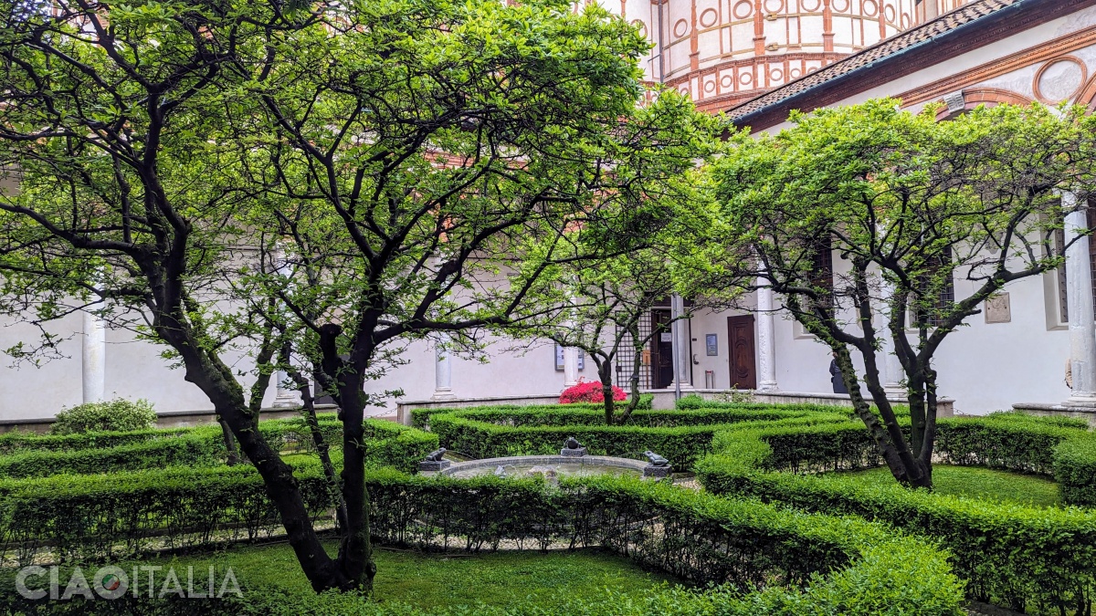 The Cloister of Frogs