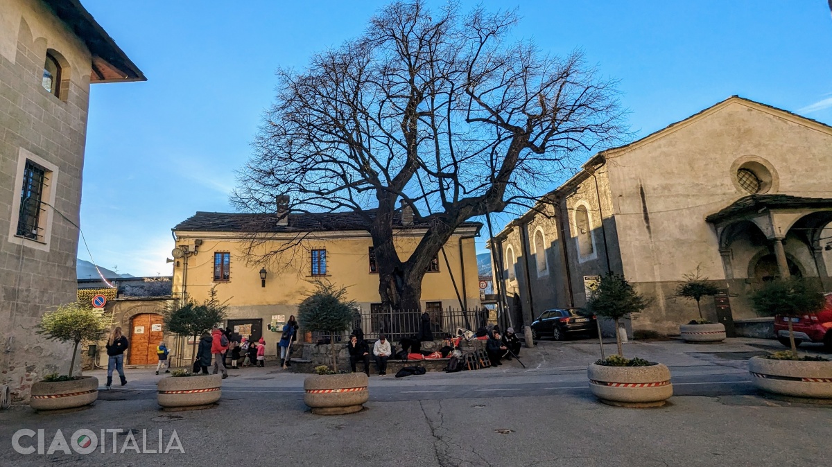 The Saint Orso linden tree in winter (on the right is the Church of San Lorenzo)