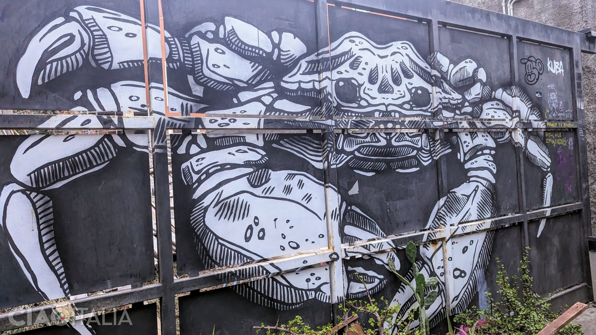 Street art in the San Berillo neighborhood