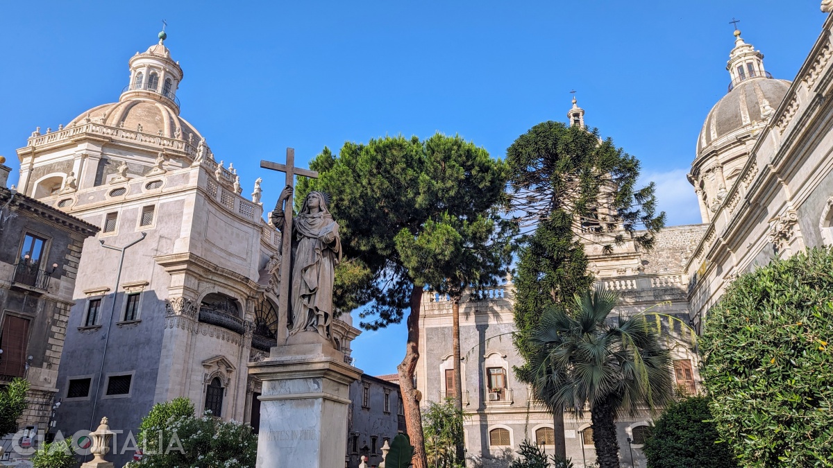 The small garden is an oasis of greenery.