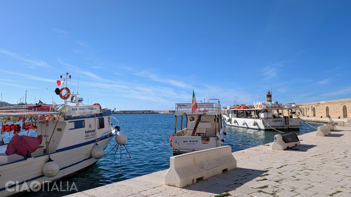 Many boat tours depart from the old harbor.