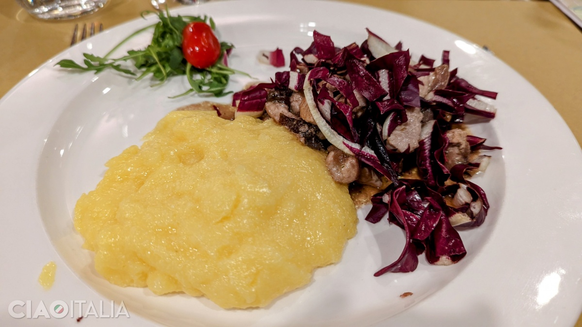 Penne with Treviso radicchio, walnuts, and Gorgonzola