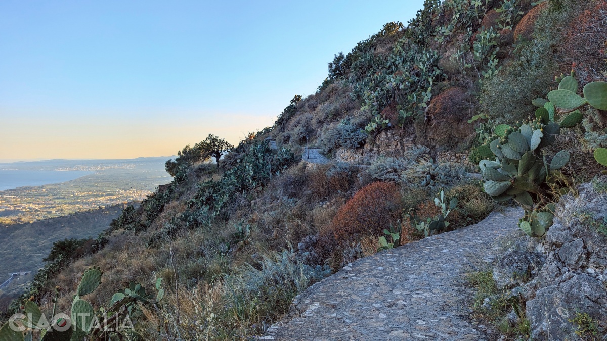 The slope is covered with cacti, from which the name "il Piano delle Ficare" originates.