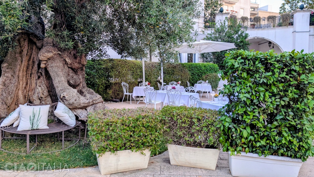 The garden of Hotel Ostuni Palace