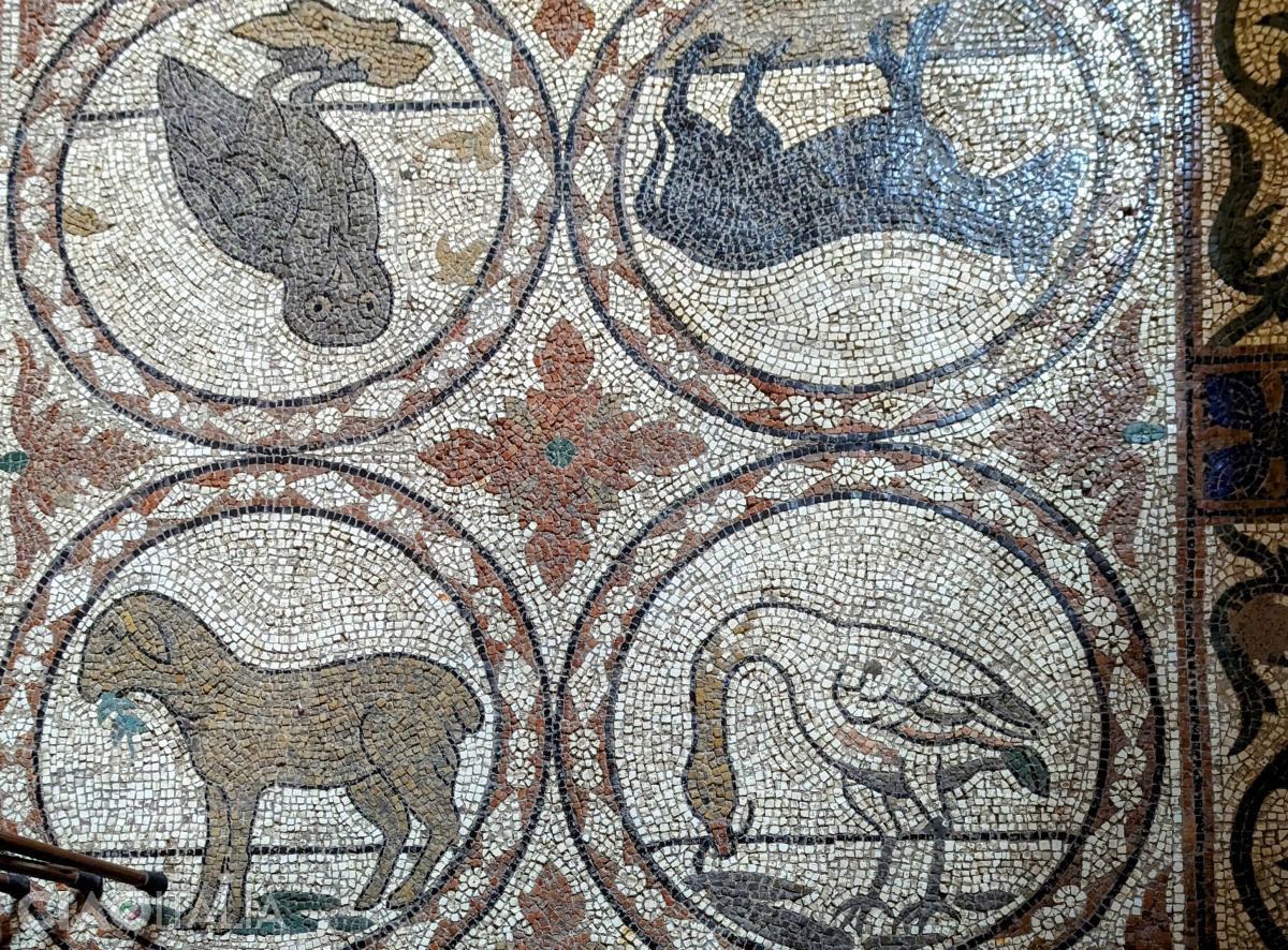 Mosaics with animals, made on the church floor