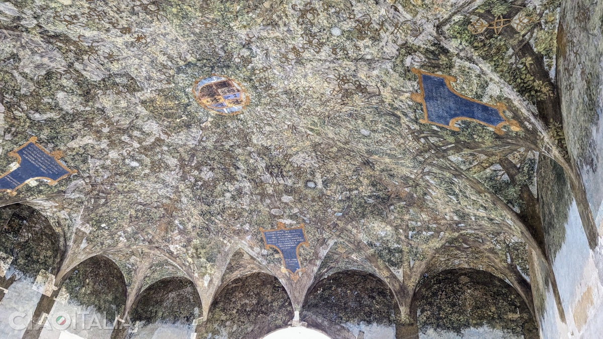 The vault of the hall, painted by Leonardo da Vinci.