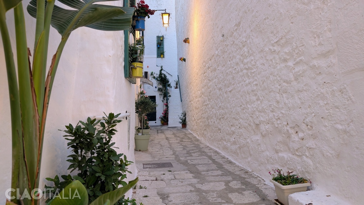 Walking through the historic center, you will find many picturesque spots.