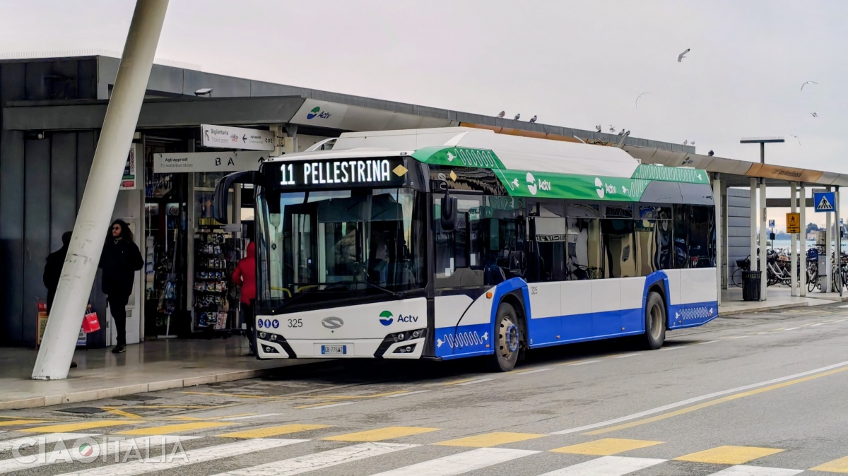 To get to Pellestrina Island, take bus 11 from Lido di Venezia and then the ferry.