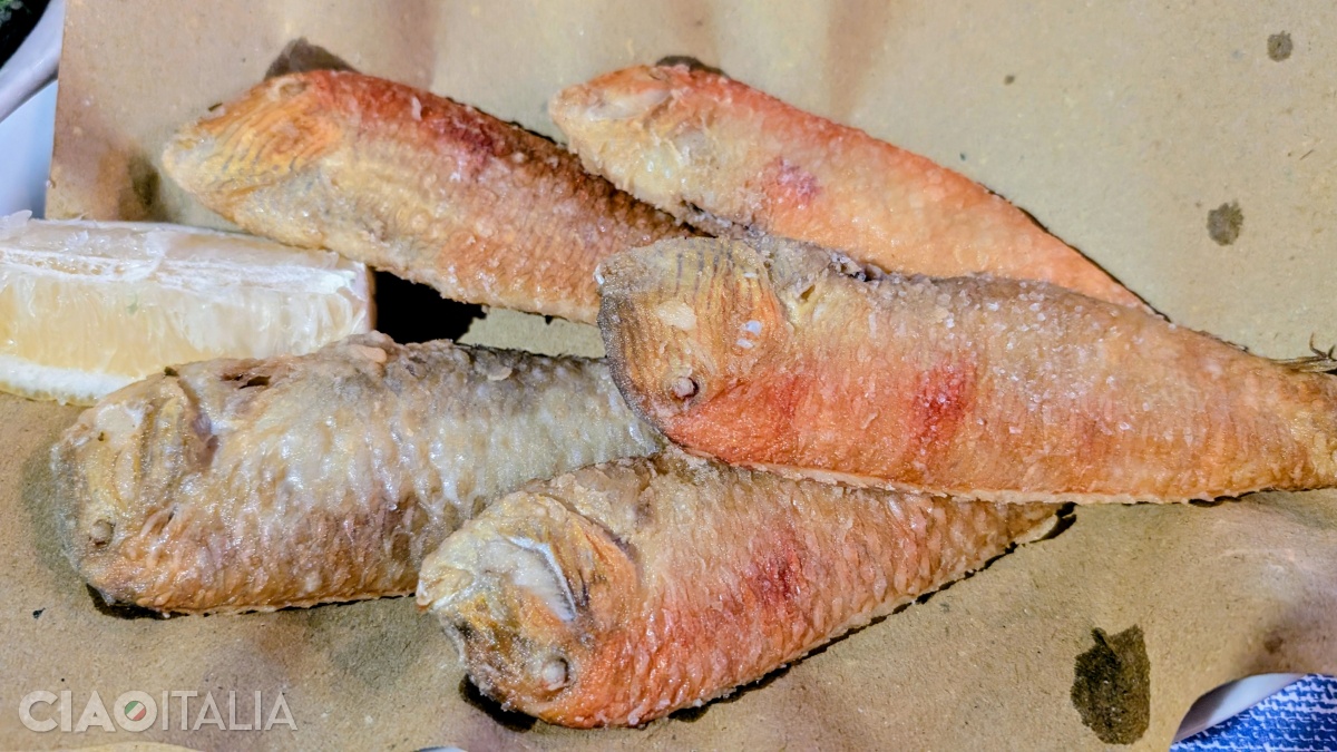 Surici are small, red fish, similar to red mullets, caught off the coast of Tropea.