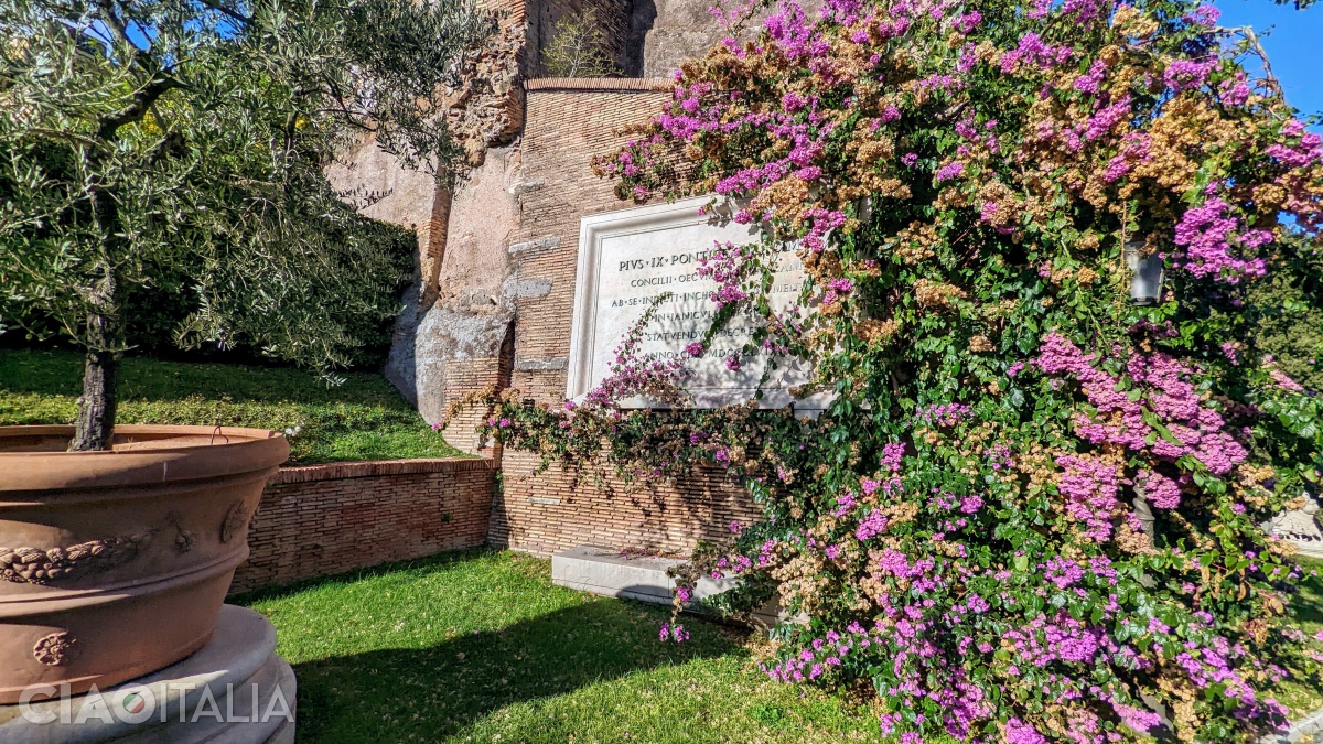 The medieval walls are covered with bougainvillea plants.