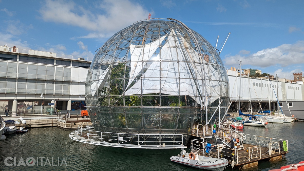 The Biosphere of Genoa is a glass sphere where you can see tropical plants and animals.