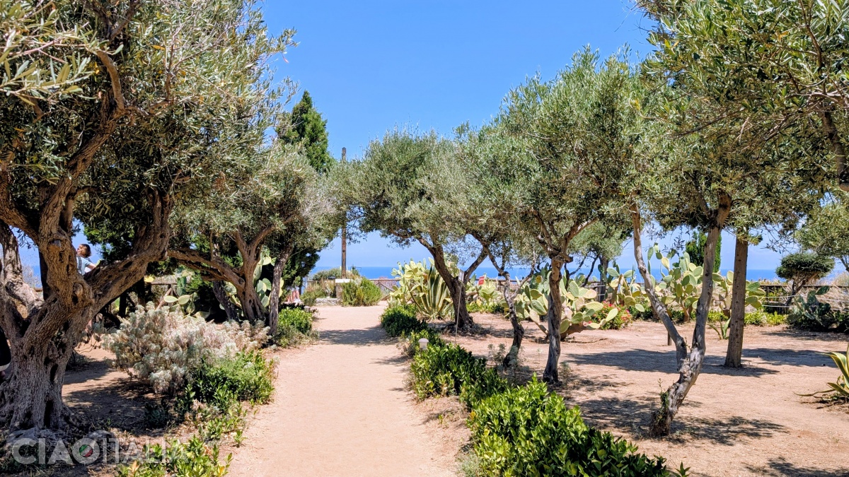 Garden with Mediterranean plants and spectacular views