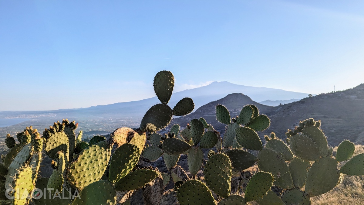 View of Mount Etna