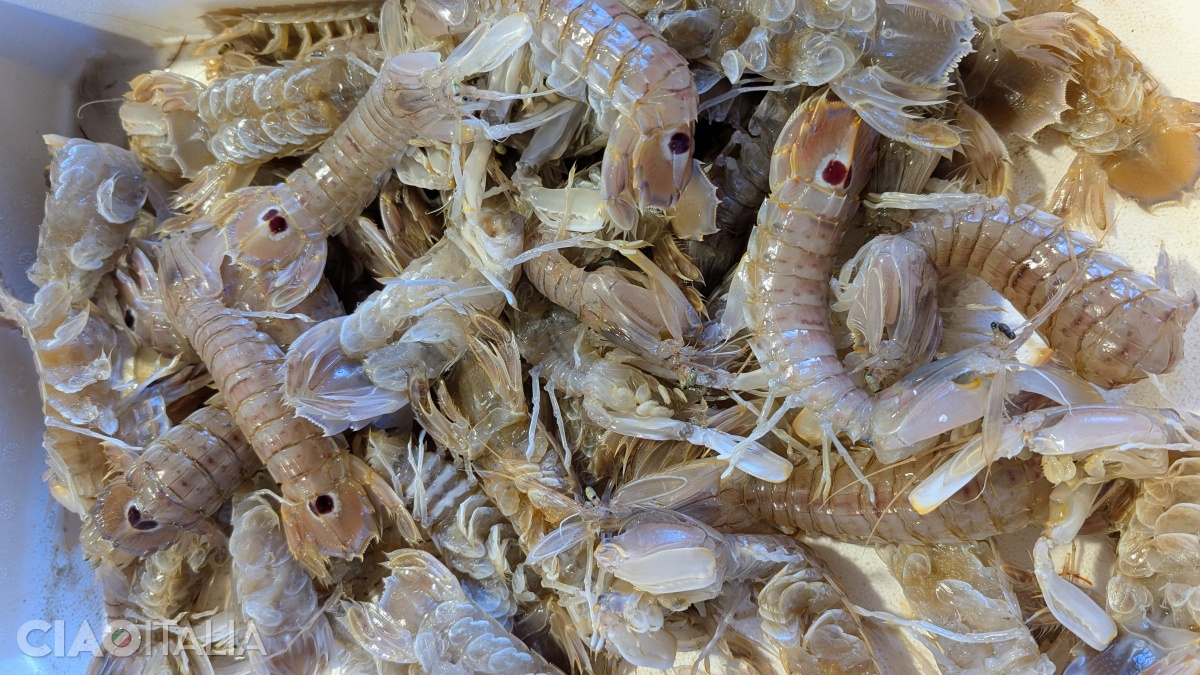 Take a stroll through the Pescarìa and see how many types of fish and seafood you can recognize.